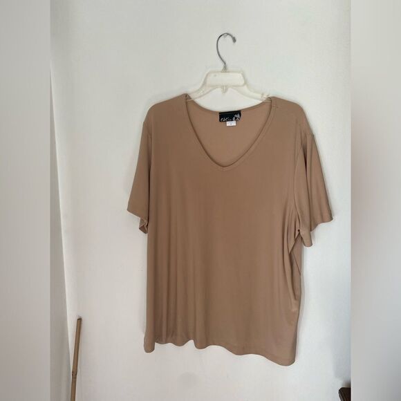 Plus size Nude tan short sleeve top size 2X - Picture 1 of 6